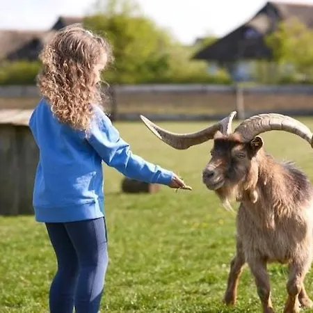 Im Der Valk In Linstow * Dobbin-Linstow