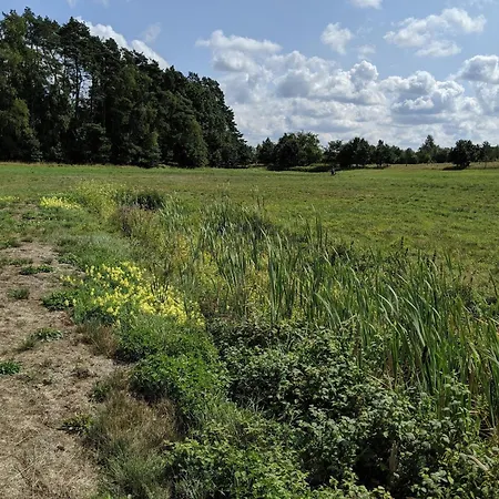 Im Der Valk In Linstow