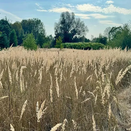 Im Der Valk In Linstow Ferienhaus *